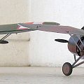 PZL P.24G