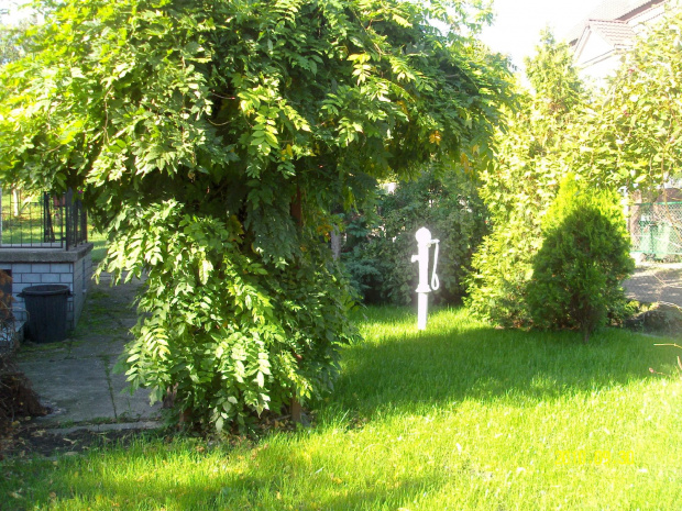 Ogród w Gorzowie