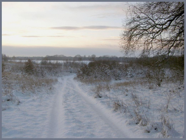 Wreszcie trochę zimy w zimie :) #zima #spacery #pola #łąki #drzewa #śnieg