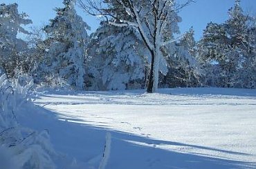 Puławy k/Rymanowa #Bieszczady #Kiczera #Lesko #narty #Puławy #śnieg #Weremień