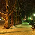 #Poznań #zima #noc