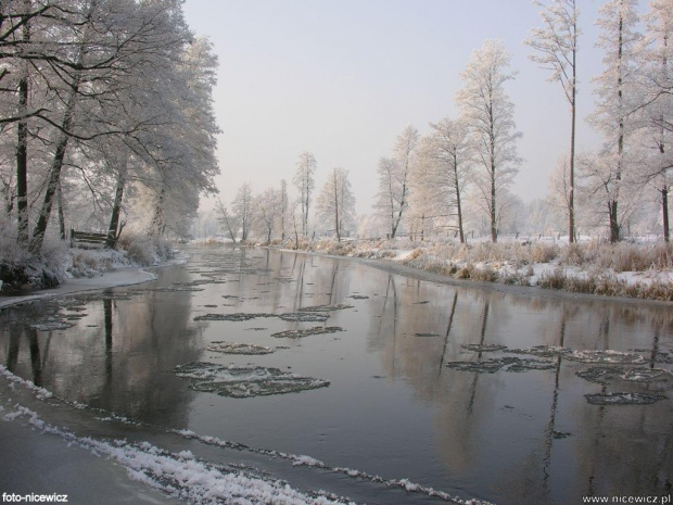 Foto: Sylwester Nicewicz - Kozioł i rzeka Pisa w zimowej szacie #Kozioł #rzeka #Pisa #kolno #kurpie #podlaskie #kościół #zima #foto #Sylwester #Nicewicz