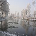 Foto: Sylwester Nicewicz - Kozioł i rzeka Pisa w zimowej szacie #Kozioł #rzeka #Pisa #kolno #kurpie #podlaskie #kościół #zima #foto #Sylwester #Nicewicz