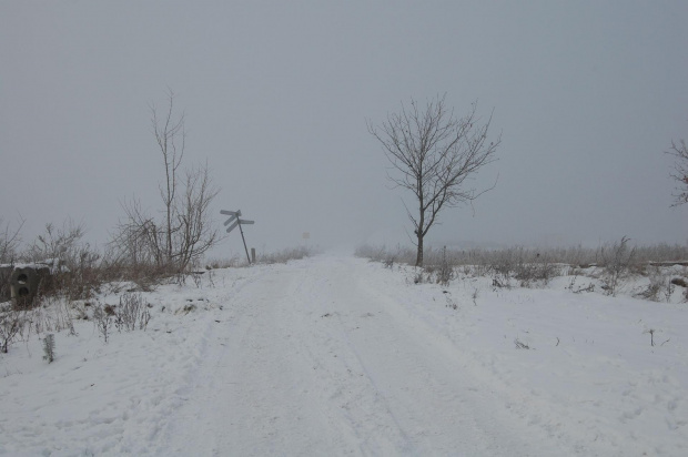 Pątnów Legnicki- zima 2009 #Zima #PątnówLegnicki #śnieg #kulig