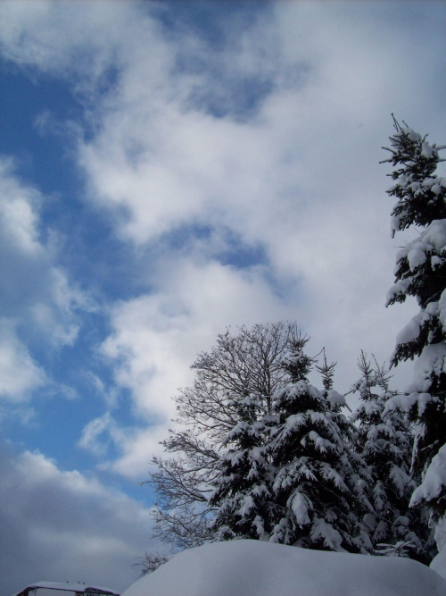Troszkę błękitu :) #zima #błękit #niebo #snieg