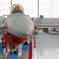 Duma polskiego lotnictwa- F16