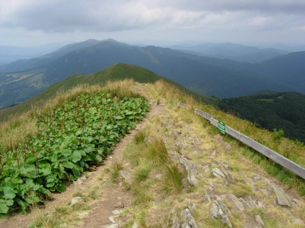 Bieszczady