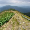 Bieszczady