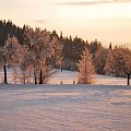 #zima #czechy #góry #śnieg #ZachódSłońca #drzewa
