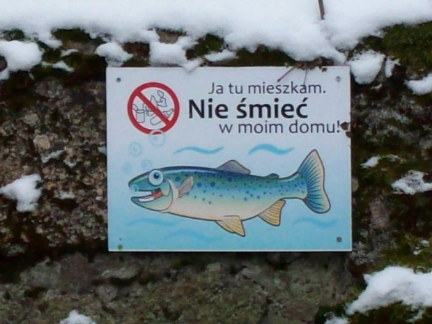 Sobieszowskie rybki dbają o swój "dom" :) #Sobieszów #rybka #zima