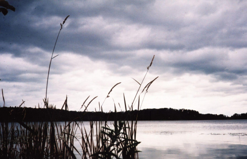 Jezioro Łaźno