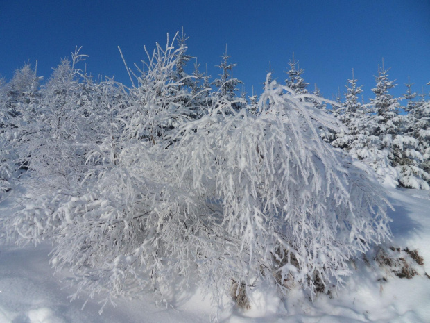 na wspomnienie zimy :) #karkonosze #zima #góry