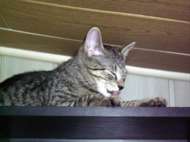 Burasia- powoli się aklimatyzuję