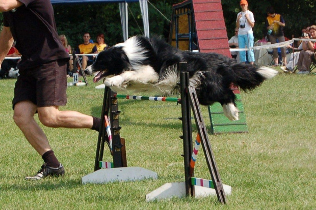 PP Agility Białystok 22.07.2007