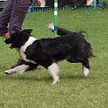 PP Agility Białystok 22.07.2007