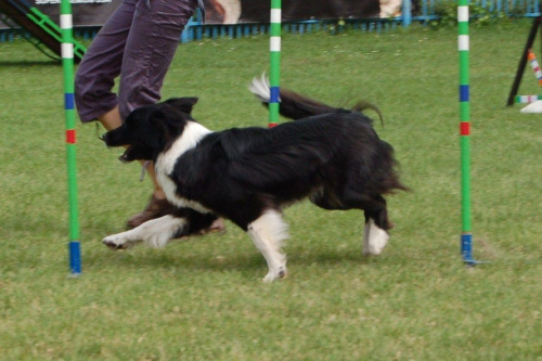 PP Agility Białystok 22.07.2007