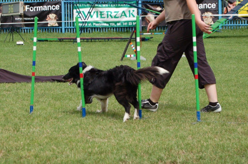 PP Agility Białystok 22.07.2007