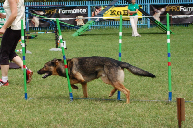 PP Agility Białystok 22.07.2007