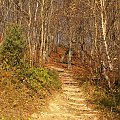 Ach te Bieszczady #Bieszczady #manek #wycieczka #wakacje #góry