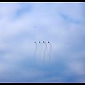 International Air Show Portrush 2007
08/09/2007 #airshow #samolot #akrobacje #Portrush