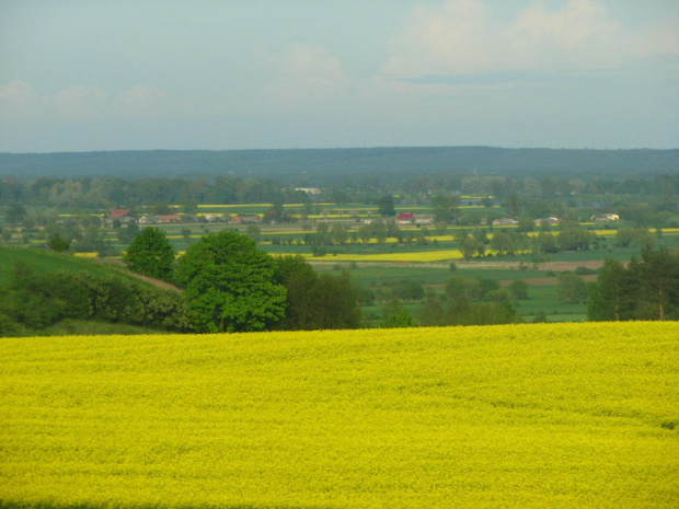 Wolibórz 01-04.05.2008