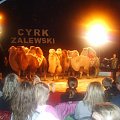 Cyrk Zalewski Inowrocław 2009 Zakaz kopiowania zapraszamy na www.cyrk-fan.com #cyrk