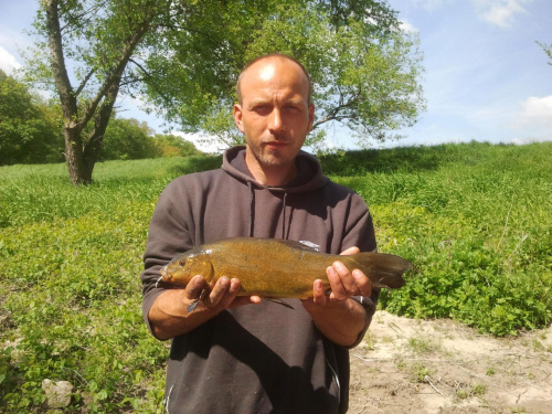 Lin 46cm 1.3 kg