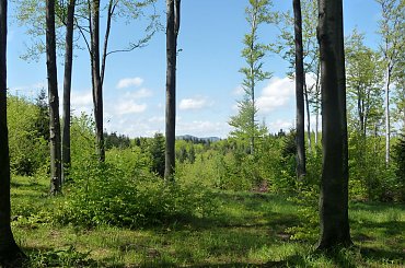 #Góry #Leskowiec #Andrychów #Wędrówka