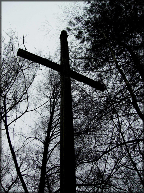 leśny drewniany krzyż