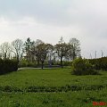 Cmentarz Jeńców Wojennych przy Al.Przyjażni w Chełmie (pomordowanych w latach 1941-1944 ze Stalagów 319 A i C w Chełmie) #Cmentarze