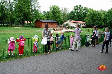 Nie zapomnimy tego #Częstochowa #dziecko #przedszkole #PrzedszkoleCzęstochowa #PrzedszkolePRZYGODA #ZOO #Chorzów