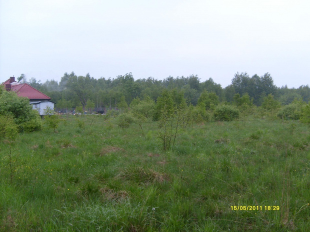 DZIAŁKA