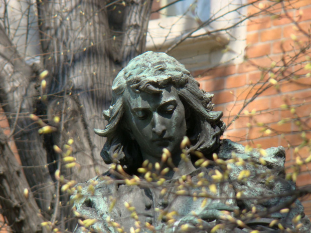 Pomnik M. Kopernika w Krakowie