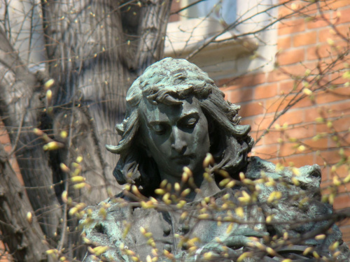Pomnik M. Kopernika w Krakowie