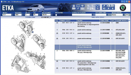 pasek wielorowkowy skoda