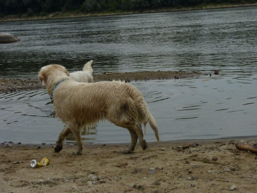 Brutus i Duffel, Wisła, czerwiec 2011