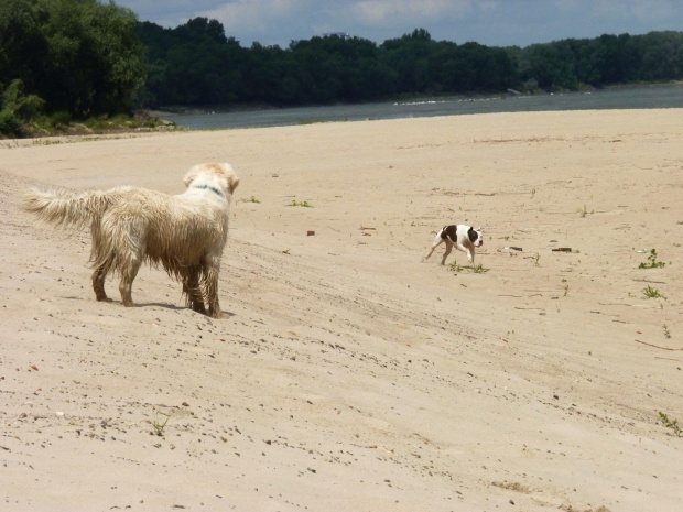 Brutus i Lola, Wisła, czerwiec 2011