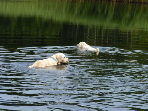 Brutus i Duffel, Kruczek, lipiec 2011