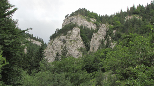 Formy skalne w otoczeniu Polany Polhory #GóryChoczańskie #DolinaProsiecka #DolinaKwaczańska