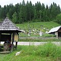 Łąkami dochodzimy do pierwszych zabudowań i cmentarza w Velke Borove. #GóryChoczańskie #DolinaProsiecka #DolinaKwaczańska